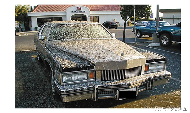 小知识分享车漆有问题要怎么处理,不可逆的损伤车漆最怕是什么