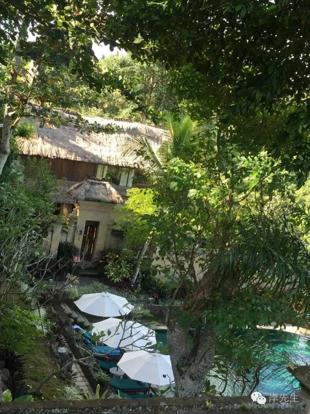 巴厘岛攻略|花155元望着大海享受SPA,神仙也不过如此