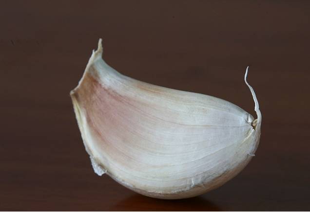 五毛钱是用金子做的吗,五毛钱可以值多少钱