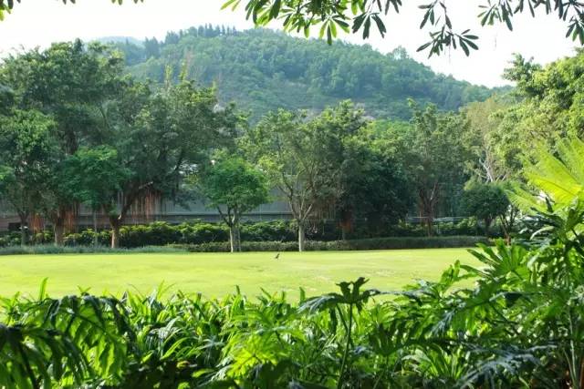 迪士尼好莱坞酒店门口有海边么,迪士尼好莱坞酒店要门票吗