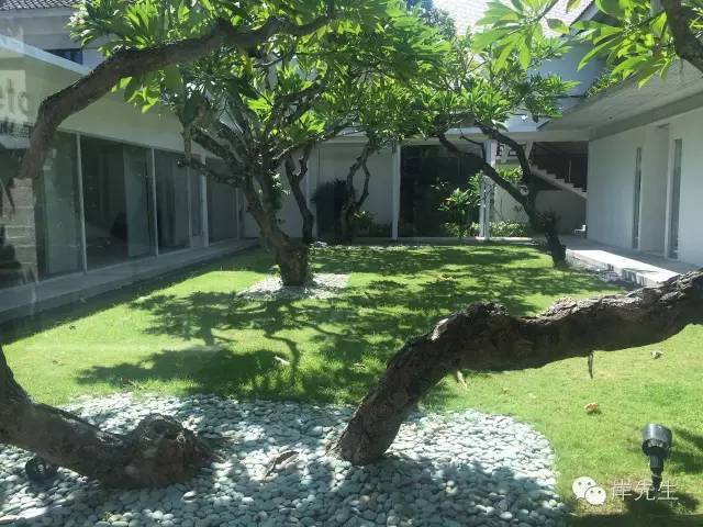 巴厘岛六天自由行攻略,巴厘岛旅游攻略spa