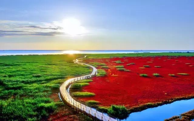 盘锦的夏天，应该是这些颜色的！