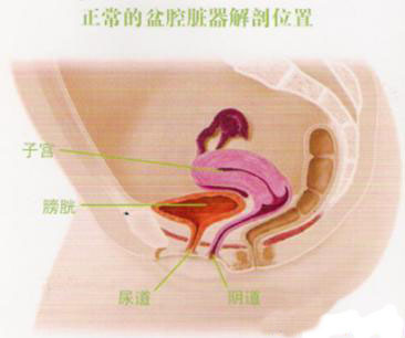 盆腔积液是怎么引起的有什么危害,盆腔积液会不会转化为宫腔积液