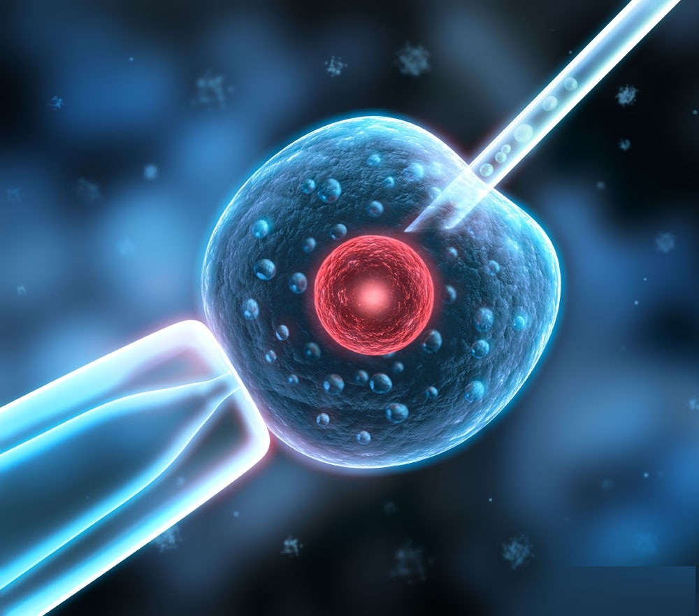 备孕煎熬,辛酸的备孕之路终于好孕了