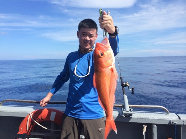 国外海钓巨物视频大全,去海钓路亚