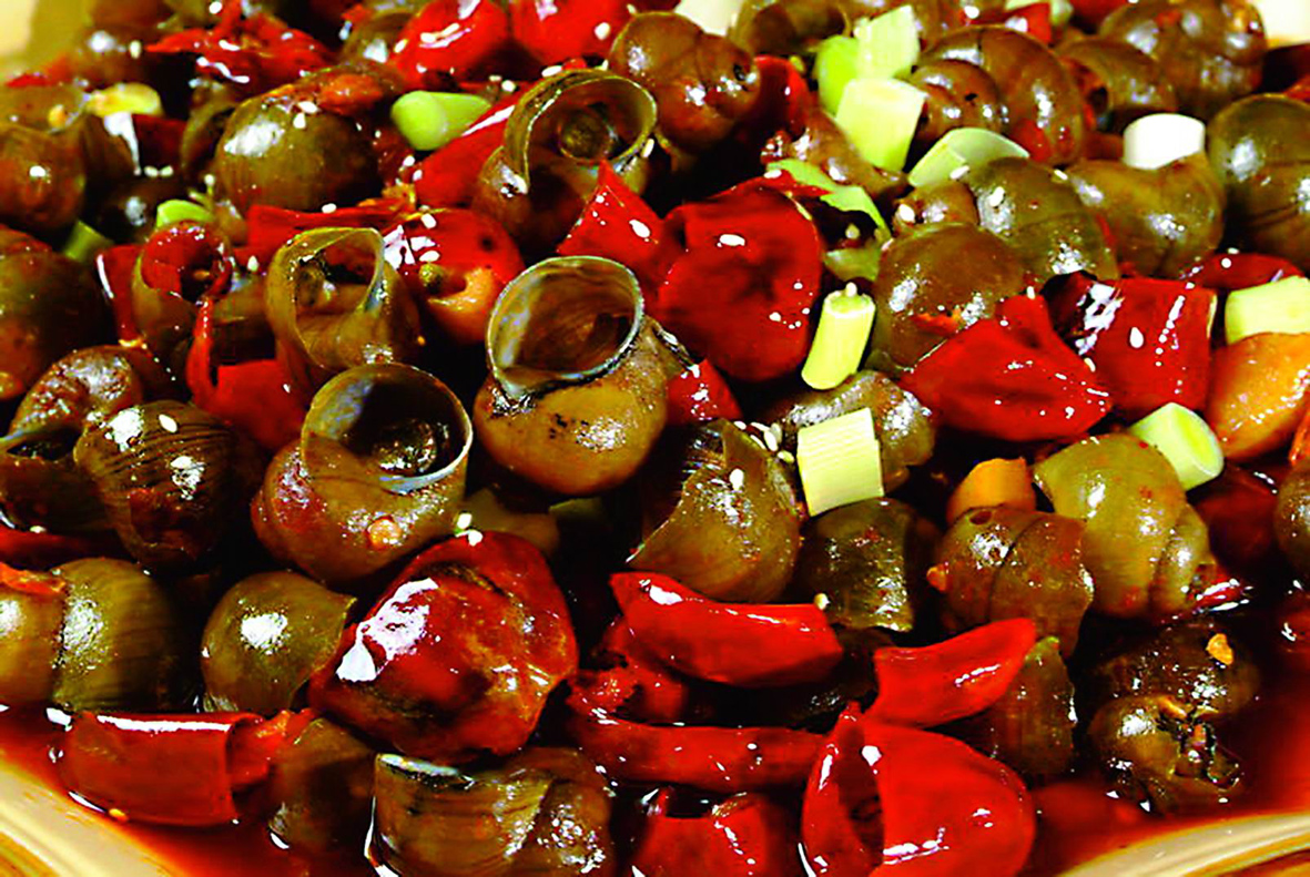 田螺和泥鳅混养前景如何,致富经田螺泥鳅黄鳝莲藕鱼混养