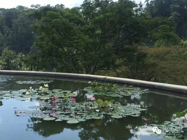 巴厘岛攻略|花155元望着大海享受SPA,神仙也不过如此