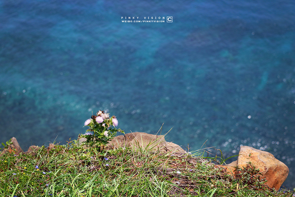 travel环球旅行,travel新旅行