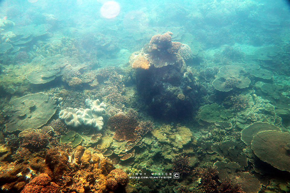 travel环球旅行,travel新旅行