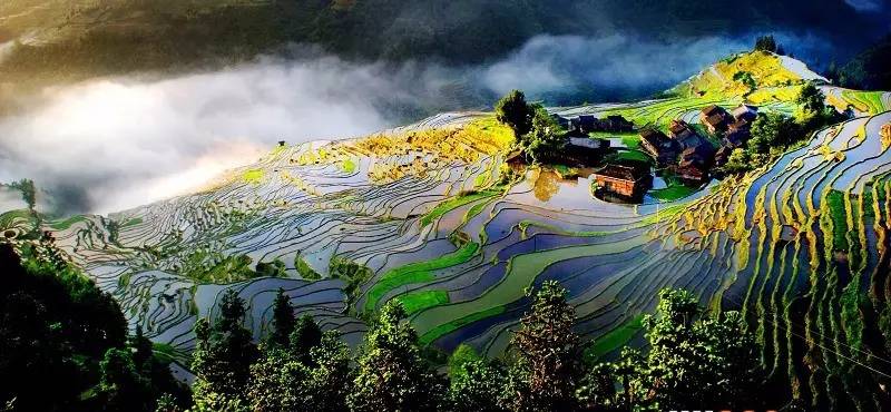 成都自驾贵州广西深度游攻略,江西去贵州自驾旅游攻略图