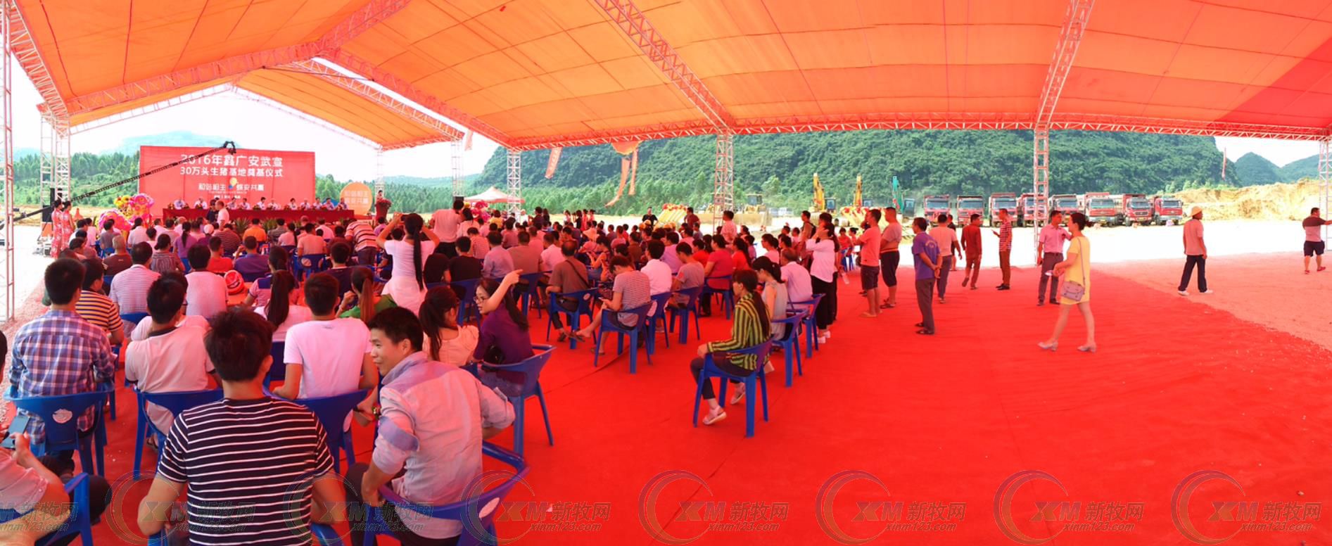 鑫广安农牧广西分公司,鑫广安母猪怎么样