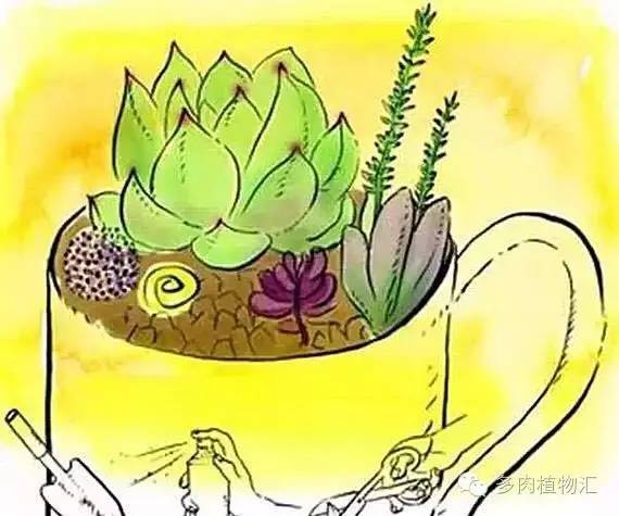 多肉植物黄叶是怎么回事,多肉黄叶发霉怎么治