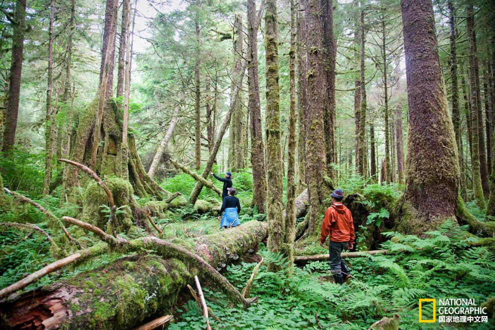 要说文化够多元，加拿大绝对算一个！