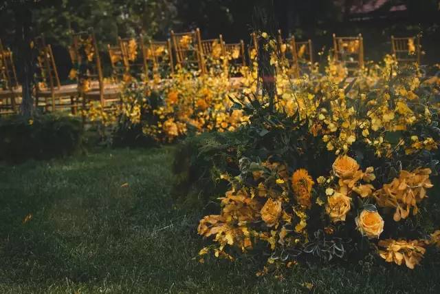 森系婚礼案例,独一无二的浪漫森系婚礼