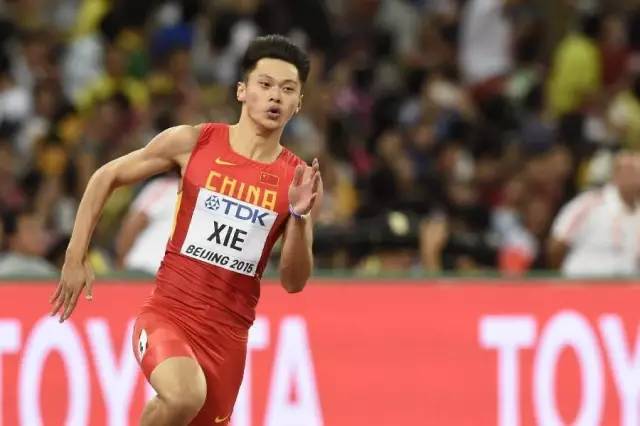 浙大学子谢震业、徐晓龙将出征里约奥运会