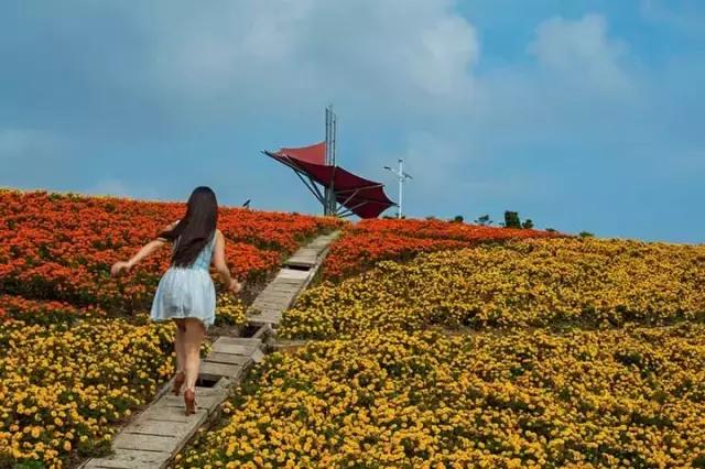 深圳东部华侨城游玩和消费,深圳东部华侨城详细攻略