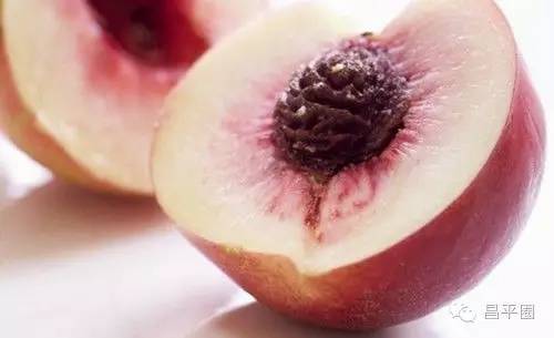 永定区冬桃新鲜采摘等你来,果园现摘冬桃脆甜