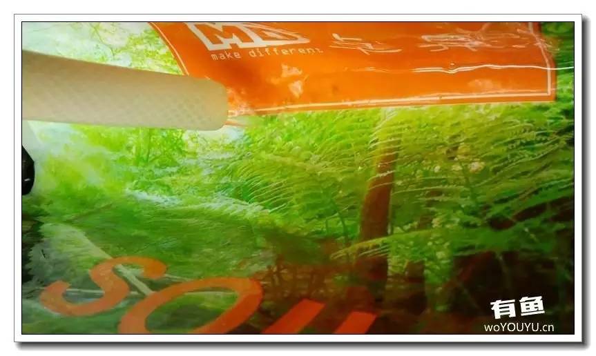 新手小白原生缸开缸教程,鱼缸怎么用高锰酸钾开缸详细教程