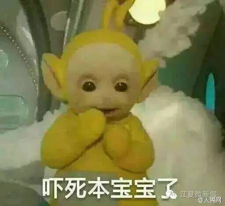 王清华与陈邂馨,陈邂馨东西湖