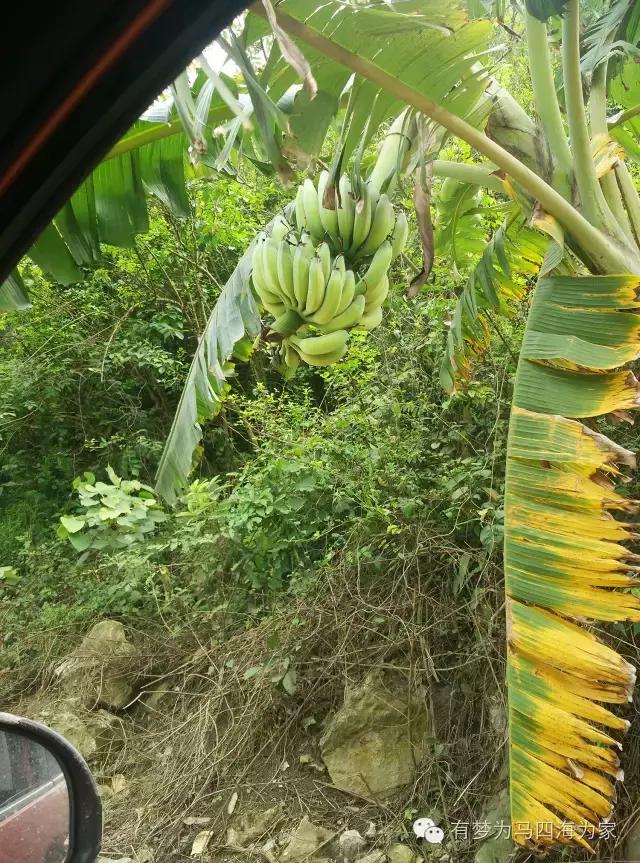 亚洲第一跨国大瀑布，淘宝掌柜环游旅行第十九集