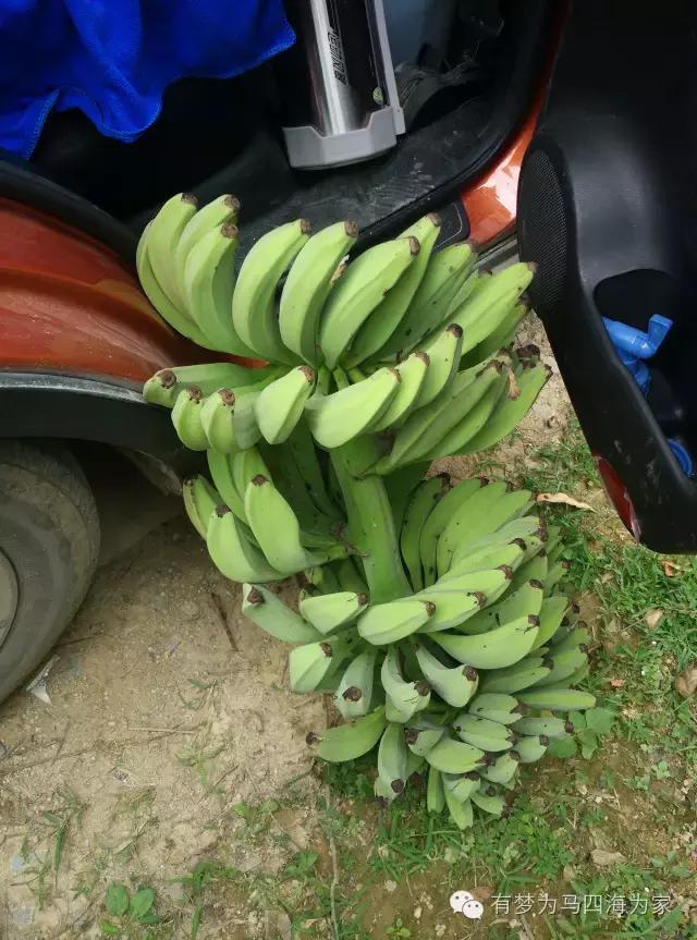 亚洲第一跨国大瀑布，淘宝掌柜环游旅行第十九集