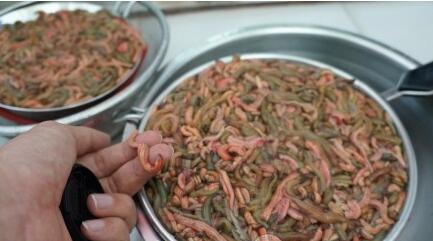 让人难于下咽，确有人将其视作盘中的绝顶美味佳肴