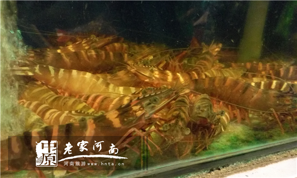 玩美假期马来西亚旅游,六日沙巴自由行攻略