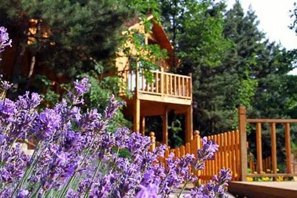 找童年!超有料の动漫主题度假酒店