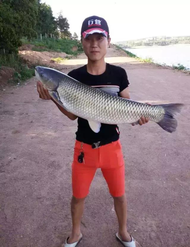 《渔获战报》大青鱼爆连引发的连环事件