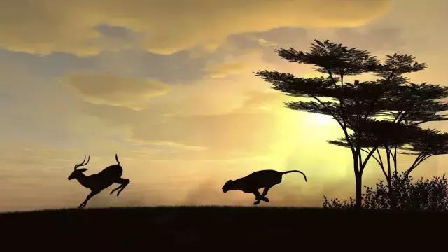 红军精神照我行——花甲老人100公里越野跑全记录