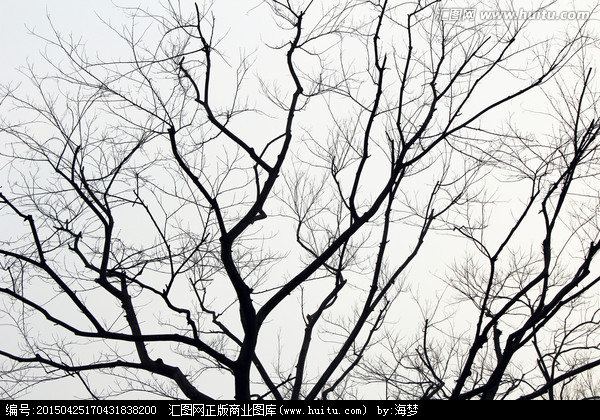 测试你的恐惧症,测试一下你有深海恐惧症吗