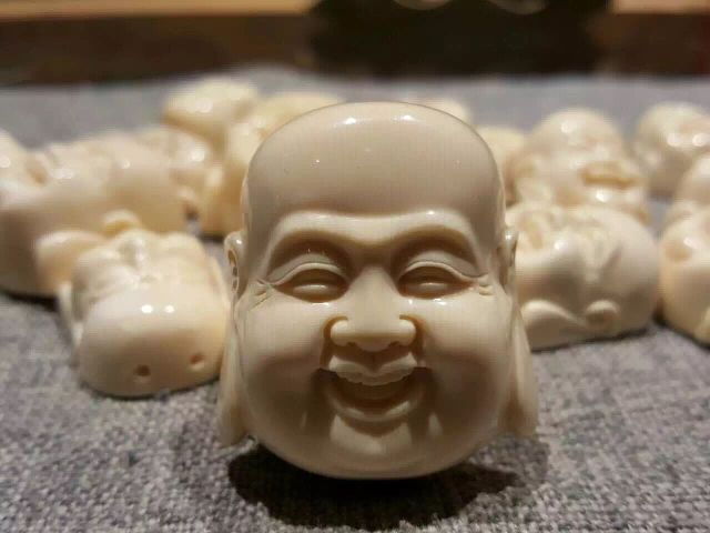 为什么猛犸象牙早晚都得裂,猛犸象牙见太阳容易裂不