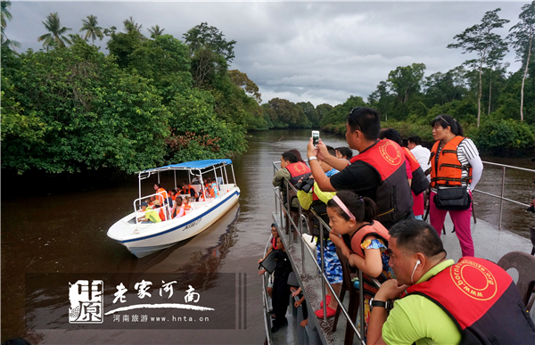 金秋沙巴游 (暑假去沙巴旅游攻略)