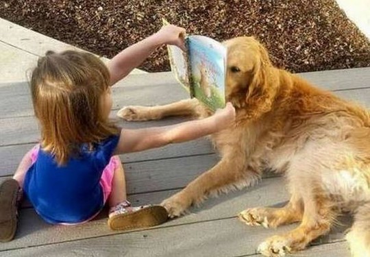 骚年装逼装大了受伤了吧