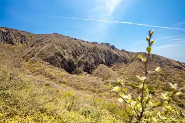 济州岛对中国一直免签吗,济州岛是对全球免签的吗