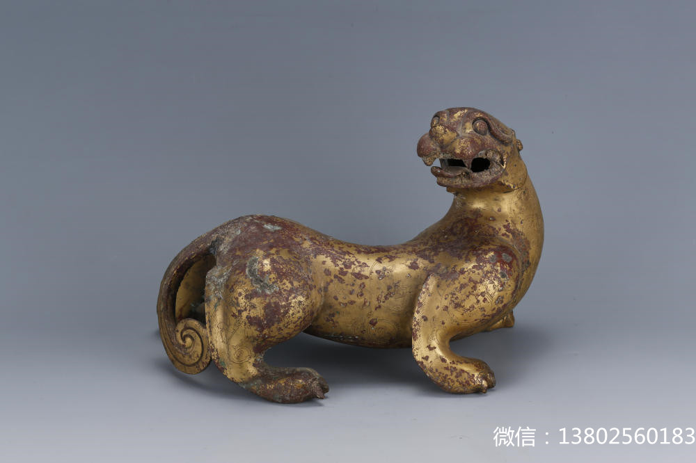 盘点那些大型萌宠的可爱瞬间,盘点这五个萌宠你觉得哪个最可爱