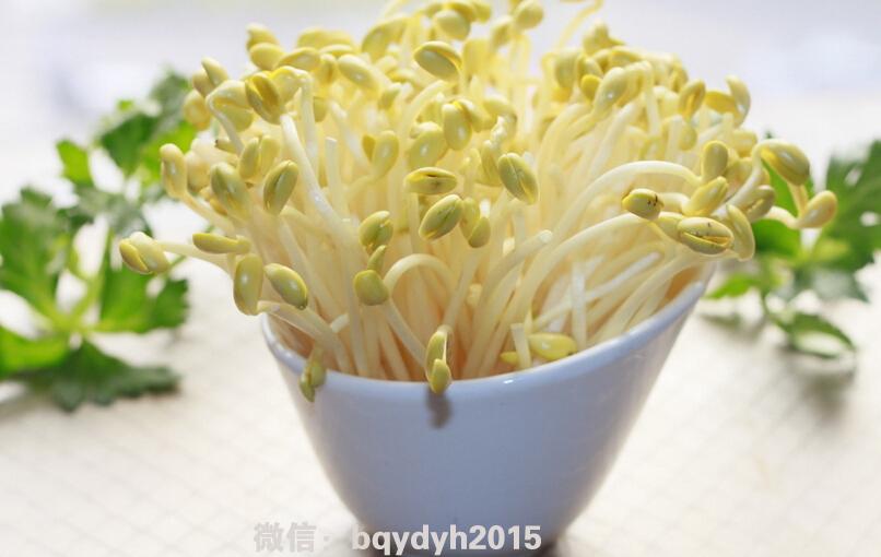 母婴健康(三)准爸爸一定要监督准妈妈哦!孕前必做的11件事!