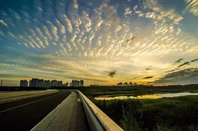 你心中的哈尔滨是什么样的,哈尔滨是个什么样的地方