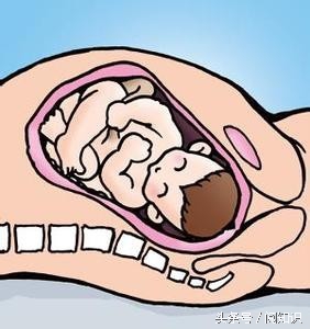 生孩子的基本知识和方法,生孩子到底是怎么样才是正确的