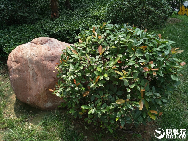 魅族mx6现在还值得买吗,1999魅族mx6