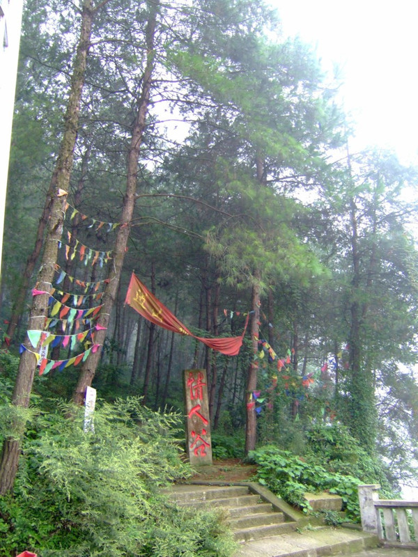 白云山林海风景,资中县白云山风景区