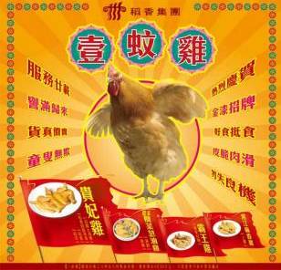 查小欣简介,查小欣爆料