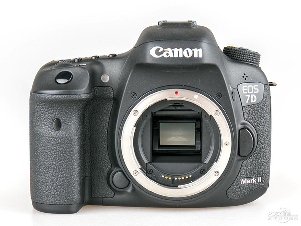 2019年全画幅相机哪款值得买,2019非全画幅单反相机推荐