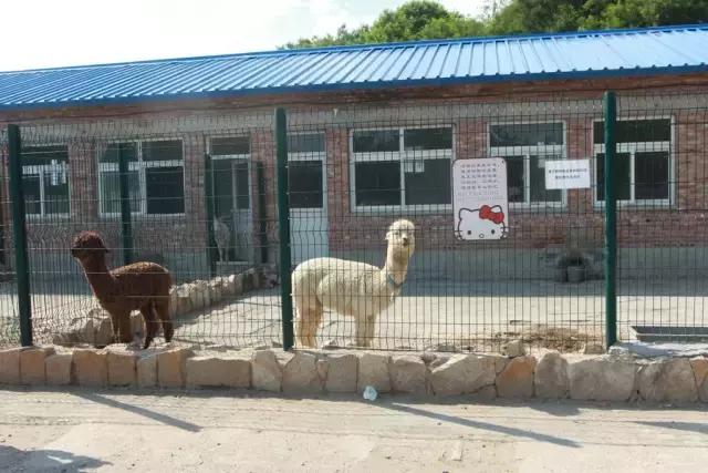 北京稻香湖景酒店儿童乐园,稻香湖欢乐岛温泉城堡儿童乐园