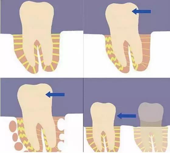 正畸专家介绍图,正畸医生关于整牙的10条建议