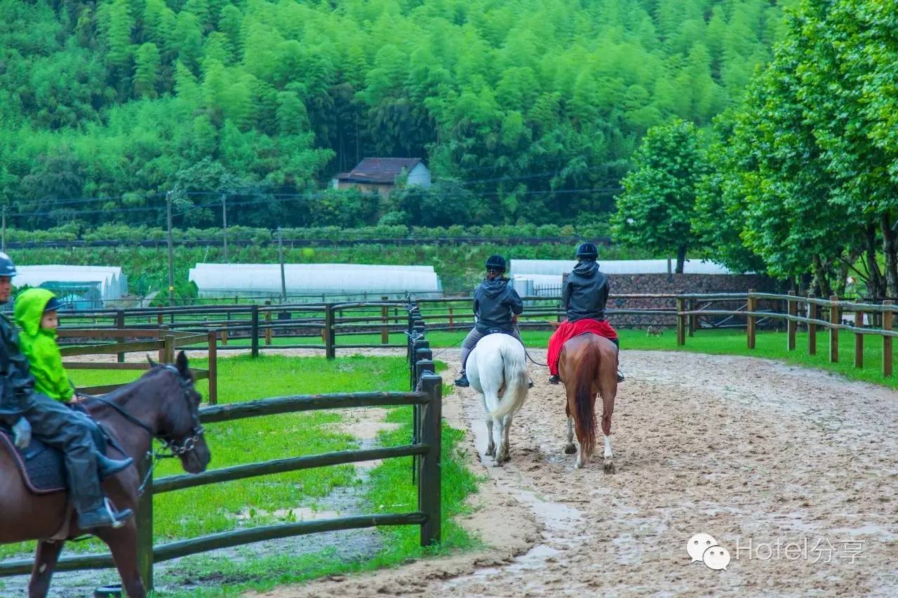 莫干山裸心谷简介,莫干山裸心堡有什么好玩的