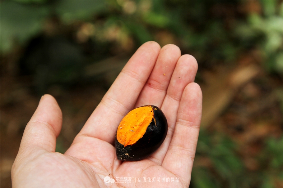 放学别走！雪兰莪喊你去补生物课！