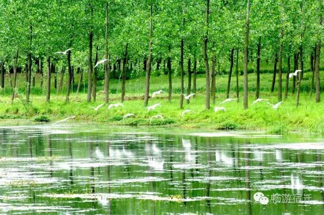 假如宿迁是一个班级，宿城当然是