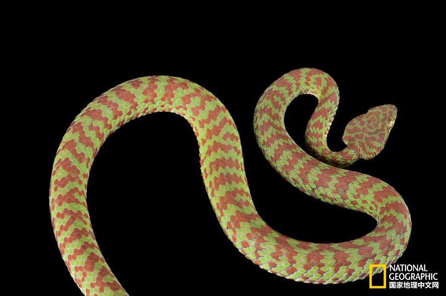 魔鬼充满诱惑力,原来恶魔也能被撩