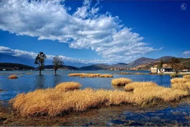 租金暴涨,文化地标被迫搬迁!网友：大理你怎么了？